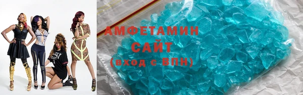 амф Тайга