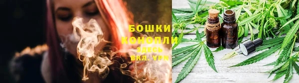 мет Богданович