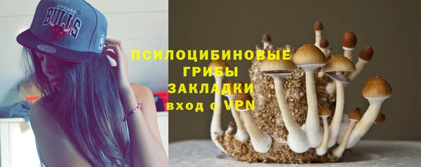 прущие крисы Богородицк