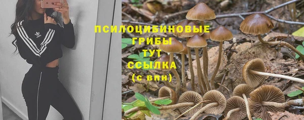 мет Богданович