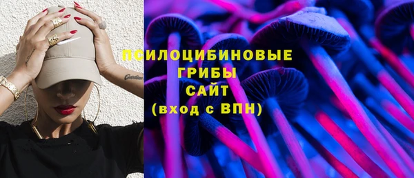 PSILOCYBIN Дедовск