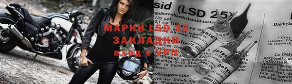 амф Тайга
