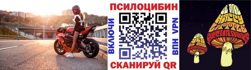 Псилоцибиновые грибы Psilocybine cubensis Гаврилов-Ям
